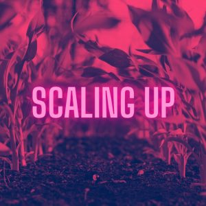 Scaling Up with Marketing